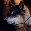 efiluje's Avatar