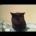 ArrigoHoddesdon's Avatar