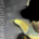 nicholas50ipswich's Avatar